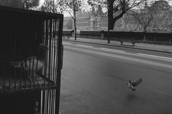 / Paris (1979)
 (13) / 16
	  - All rights reserved. Copyright: Ute Mahler