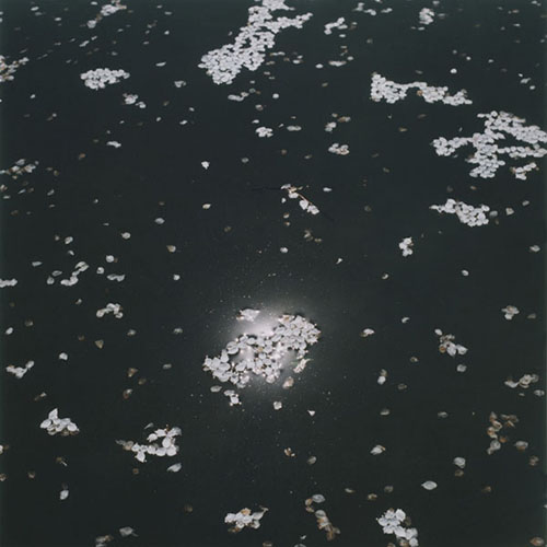  / Spurensuchen (2000 – 2008) (8) / 18
	  - All rights reserved. Copyright: Ute Mahler