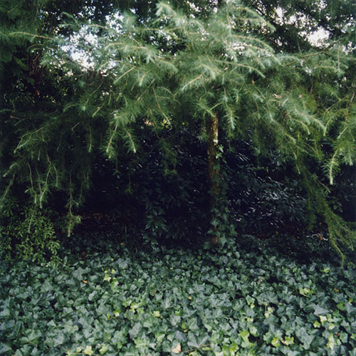  / Spurensuchen (2000 – 2008) (10) / 18
	  - All rights reserved. Copyright: Ute Mahler
