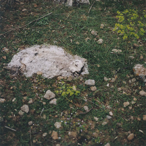  / Spurensuchen (2000 – 2008) (13) / 18
	  - All rights reserved. Copyright: Ute Mahler