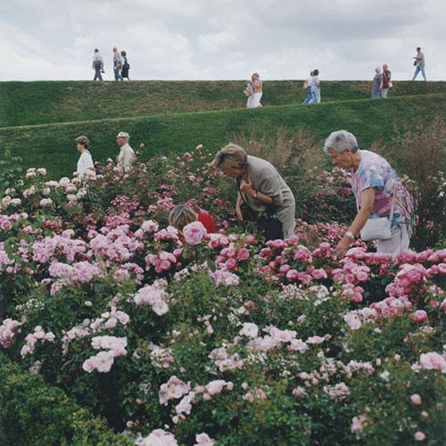 Bundesgartenschau, Potsdam 2001 / Neue Alte (2004 – 2005) (5) / 13
	  - All rights reserved. Copyright: Ute Mahler