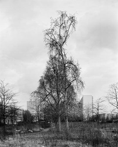 Berlin / Ute Mahler und Werner Mahler: Monalisen der Vorst�dte (2008 &ndash; 2011) (41) / 41
	  - All rights reserved. Copyright: Ute Mahler