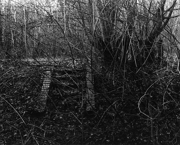  / Ute Mahler und Werner Mahler: Grenzen (2012) (6) / 9
	  - All rights reserved. Copyright: Ute Mahler