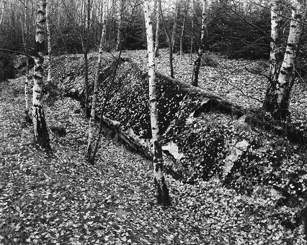  / Ute Mahler und Werner Mahler: Grenzen (2012) (8) / 9
	  - All rights reserved. Copyright: Ute Mahler