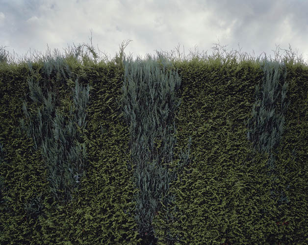  / Ute Mahler und Werner Mahler:  Die seltsamen Tage (2014)  (6) / 14
	  - All rights reserved. Copyright: Ute Mahler