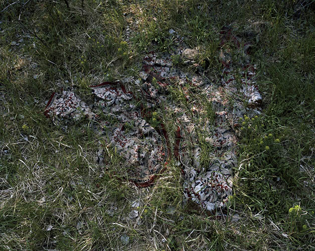  / Ute Mahler und Werner Mahler:  Die seltsamen Tage (2014)  (10) / 14
	  - All rights reserved. Copyright: Ute Mahler