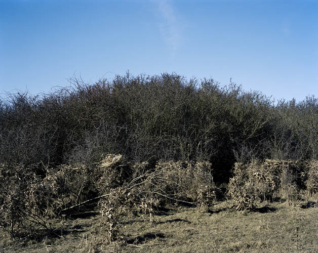  / Ute Mahler und Werner Mahler:  Die seltsamen Tage (2014)  (13) / 14
	  - All rights reserved. Copyright: Ute Mahler
