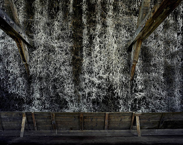  / Ute Mahler und Werner Mahler:  Die seltsamen Tage (2014)  (14) / 14
	  - All rights reserved. Copyright: Ute Mahler